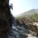 청.두.쉰 종주 Backpacking (제4회 100대 명산/두타산) 이미지