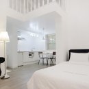 장꽁(카멜리아) 이미지