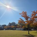 고샘길 | 안양 중국집 맛집 희래원 방문 후기 !! 11월 포켓몬고 일정 구굿