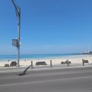 월정포인트 이미지