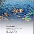 법정스님 법구경-25, 365 탁발승(托鉢僧)의 장 이미지