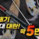 코러낚시 호래기 낚시대 이미지