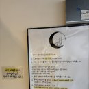 루체인알티스 | <안양/애견카페> 안양 애견카페 내돈내산 "루체인알티스"