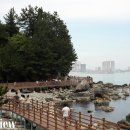 바다향기로 이미지