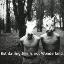 앨리스인원더랜드 이미지