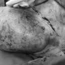 약초동물병원 이미지