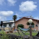 필제주 게스트하우스 이미지