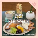 티티오(tto)