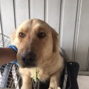 매화파출소 이미지