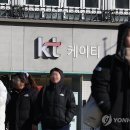 KT 위약금 해지 사흘 3만명 이동… 70% SKT로 몰렸다 이미지