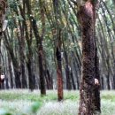 수당농장 이미지