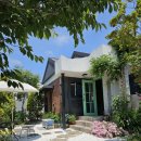 구암동447 | 대전 구암동 카페 힐링되는 카페 나무 추천