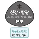 신장 방광 수기운이 약할 때 나타나는 통증 및 증상 이미지