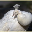 추억만들기 이미지