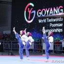 세계태권도 이미지