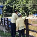 강영석 카카오 검색결과