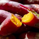 고창 다온 이미지