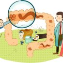 (주)고려바이오홍삼 이미지