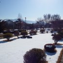 카이치 네이버블로그
