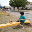 삼성병설유치원 이미지