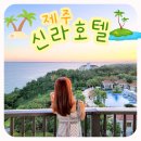 뷰 | 제주 신라호텔 오션뷰 테라스 숙박후기 : 신라제주 호캉스 특가 할인