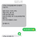 프라임 애견 | 구미 애견동반숙소 추천 옥계 프라임호텔 방문후기 내돈내산