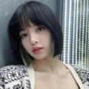 시크릿헤어 이미지