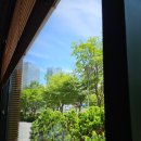 홍익빌딩 | 송도 홍익돈까스 솔직후기(정식, 세트A, 모둠)