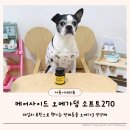 270-2020 | 케어사이드 강아지오메가3 데일리 급여로 좋은 오메가덤소프트270