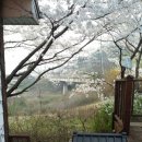 마이산꽃펜션