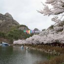 진안-진안-비상-21 이미지