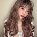 미모가발 엑스포츠뉴스