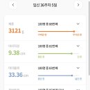 해피브라운