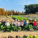 별하농장 이미지