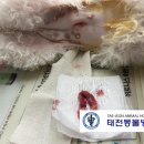 태전동물병원 이미지