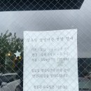 [파주애견카페] 강아지입장료없는 편안한 꼰띠고카페(+대형견가능/비반려인가능)