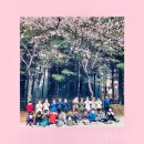 동실유치원 이미지