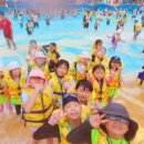 용인대용전태권도 이미지