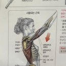 어베인휘트니스 이미지