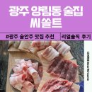 매탄4동 208~매탄4동 209-38 | 광주 양림동 신상술집 씨쏠트 솔직 후기