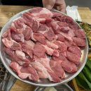 대구 달서구 송현동 뒷고기 맛집 119딧고기