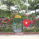 인삼랜드(하)주유소 이미지