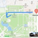 서울수국명소 서울숲수국 느린산책의정원 수국길 위치 및 수국개화상황 후기