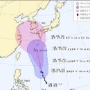 (주)피토