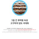 맛삿갓