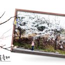 용면사무소 Daum카페