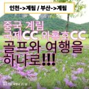 와룡호