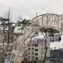 2025년 강서봄빛페스타 이미지