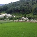 무주읍241 이미지