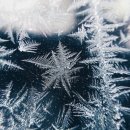 호구포한의원 이미지